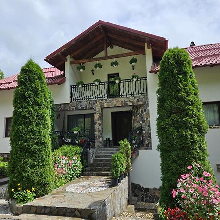 Casa Alba Villa Borsa  Exterior photo